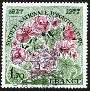Société Nationale d'Horticulture